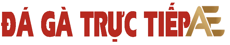 ĐÁ GÀ TRỰC TIẾP AE – TRỰC TIẾP ĐÁ GÀ THOMO HÔM NAY