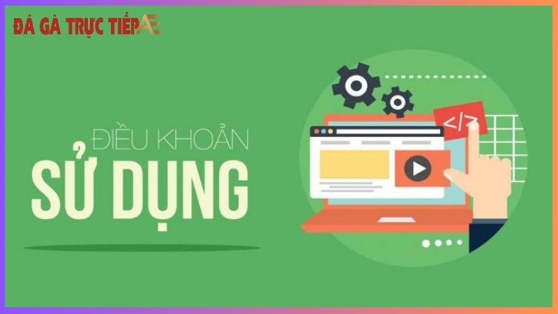 Bật mí một số điều kiện điều khoản Trực Tiếp Đá Gà Thomo 5 Điều kiện điều khoản cần biết khi dùng Trực Tiếp Đá Gà Thomo