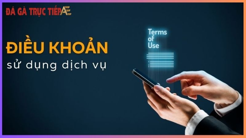 Bật mí một số điều kiện điều khoản Trực Tiếp Đá Gà Thomo 4 Điều kiện tham gia Trực Tiếp Đá Gà Thomo