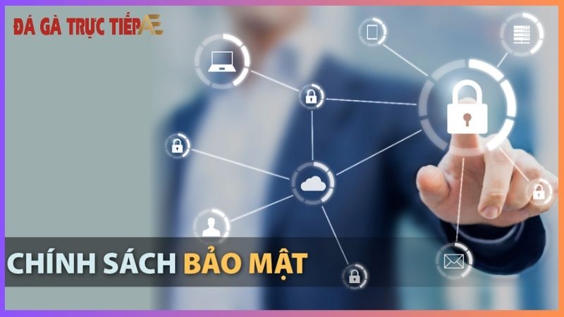 Chính sách bảo mật Trực Tiếp Đá gà Thomo - An toàn tuyệt đối 6 Luôn cập nhật chính sách bảo mật mới nhất