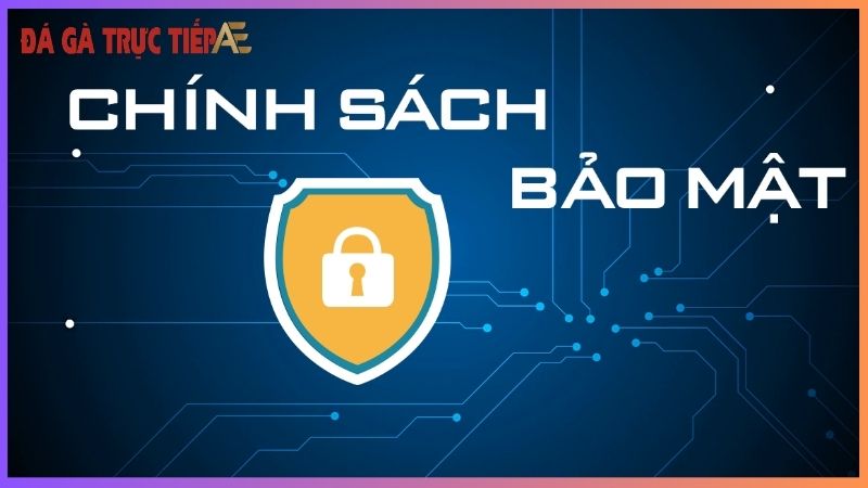 Chính sách bảo mật Trực Tiếp Đá gà Thomo - An toàn tuyệt đối 4 Lý do Thomo đặt bảo mật lên hàng đầu