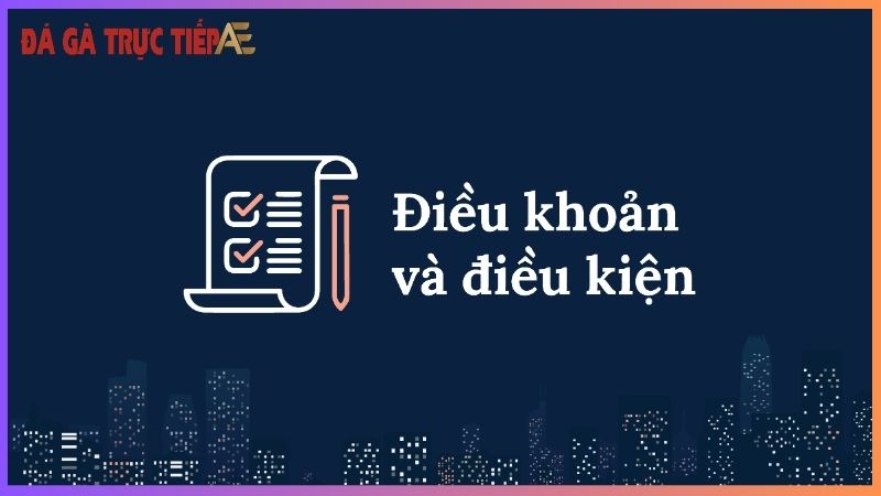 Bật mí một số điều kiện điều khoản Trực Tiếp Đá Gà Thomo 6 Người chơi có quyền và nghĩa vụ gì?