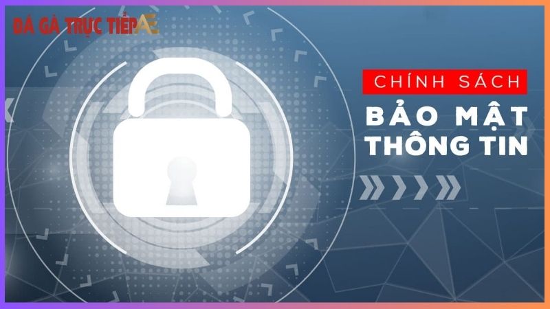 Chính sách bảo mật Trực Tiếp Đá gà Thomo - An toàn tuyệt đối 5 Trực Tiếp Đá Gà Thomo bảo vệ dữ liệu người dùng ra sao?